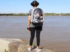 The BEST Doll Carrier is… a CAT Carrier?! Camis Craft Corner Doll Carrier