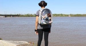 The BEST Doll Carrier is… a CAT Carrier?! Camis Craft Corner Doll Carrier